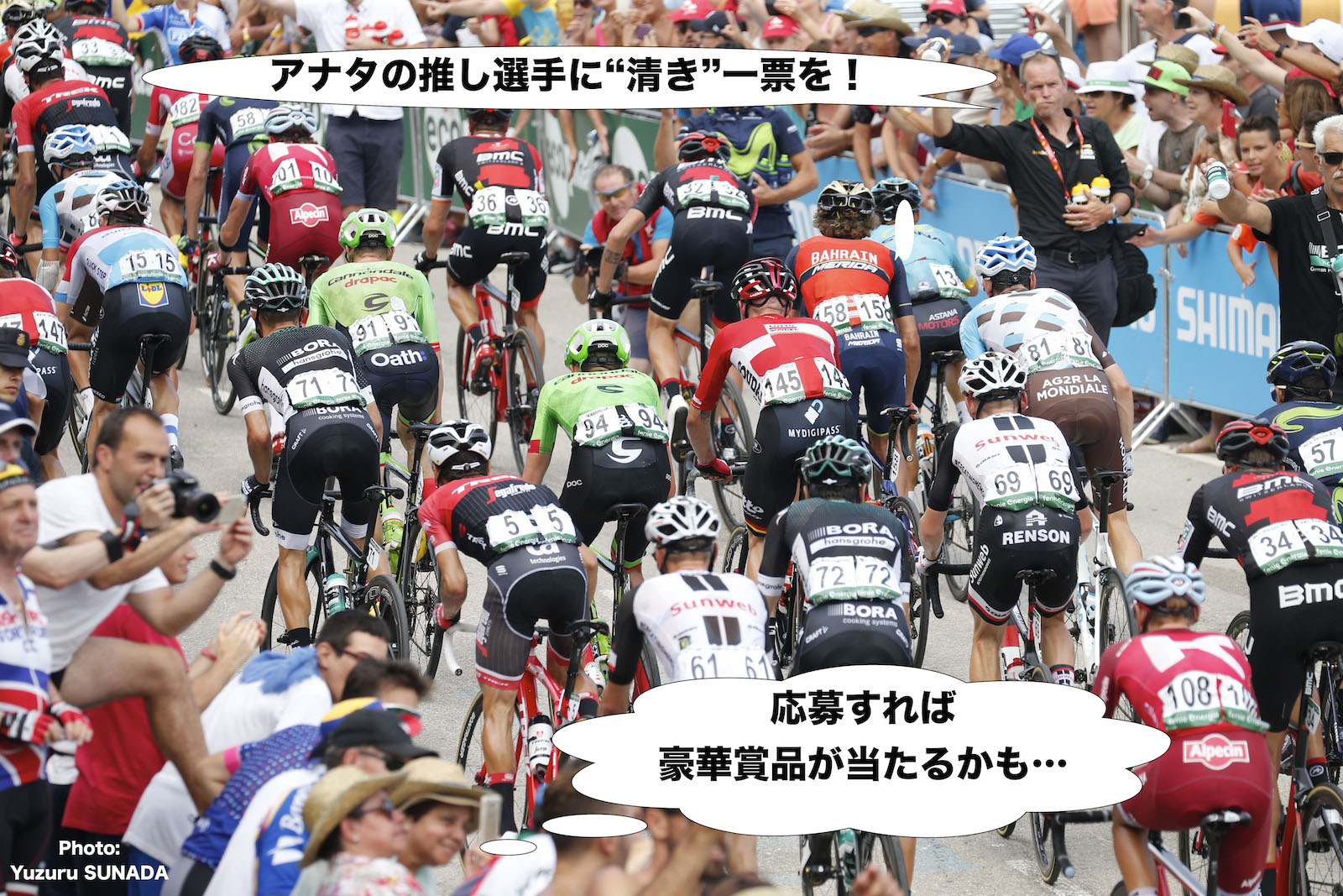 チクリッシモ「プロチーム＆選手 総選挙」12/15まで！抽選で豪華賞品が当たる！ サイクルスポーツのニュース | サイクルスポーツ.jp